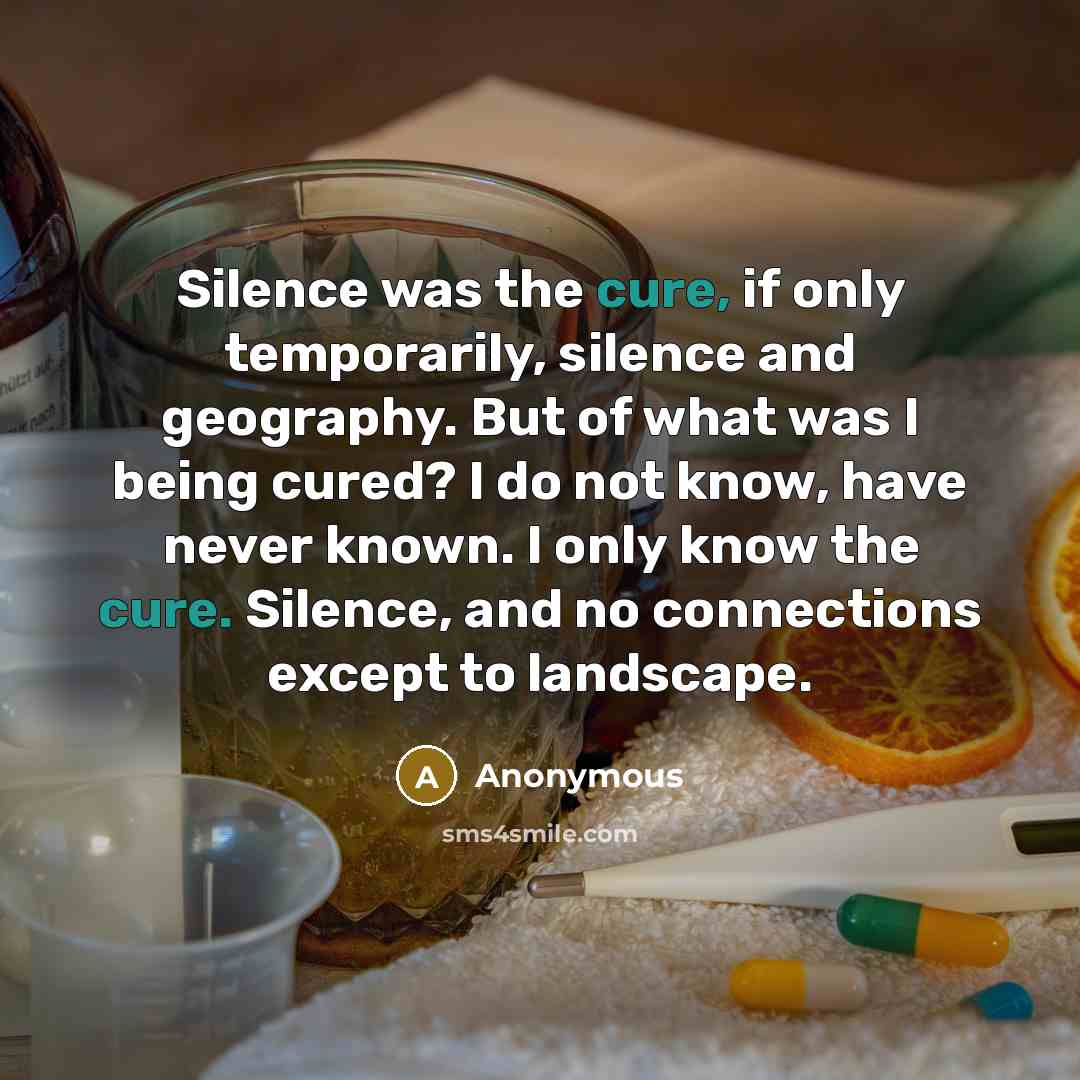 “Silence was the cure, if only temporarily, silence and geography. But of what was I being cured? I do not know, have never known. I only know the cure. Silence, and no connections except to landscape.” quote by Anonymous
