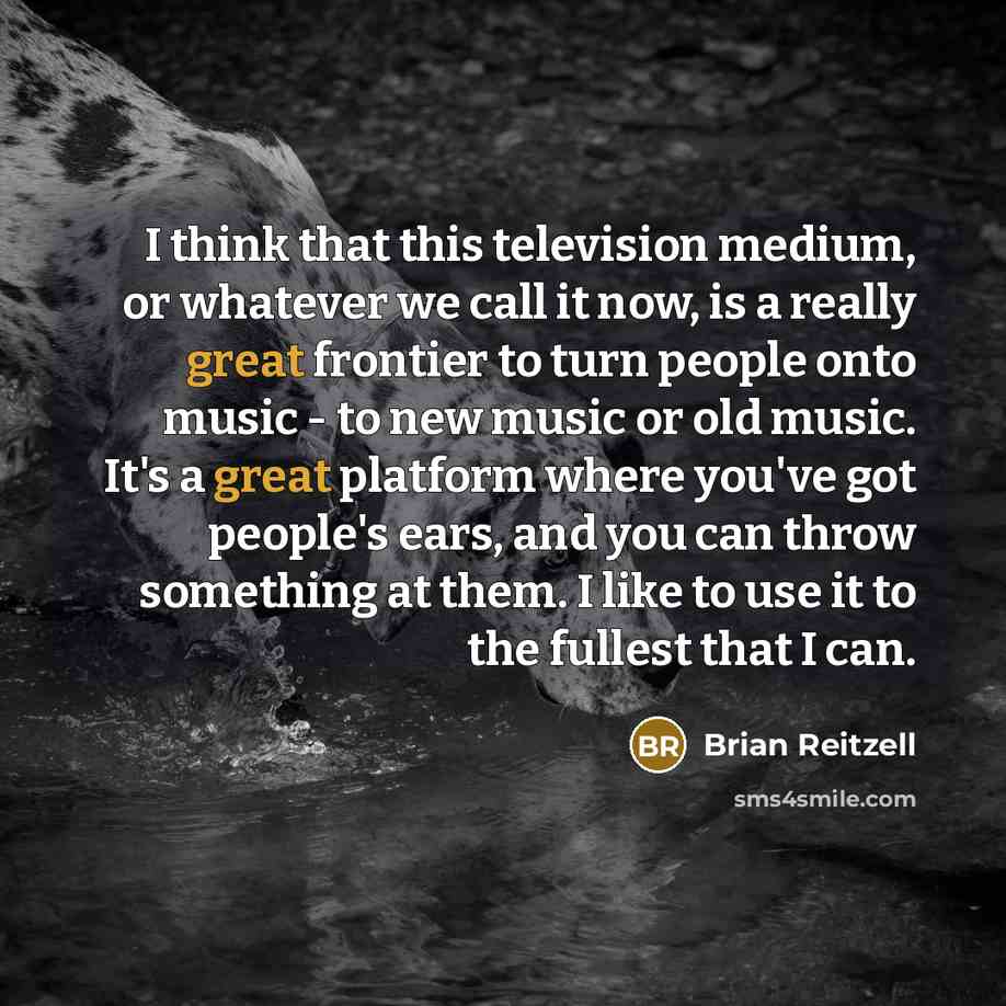 “I think that this television medium, or whatever we call it now, is a really great frontier to turn people onto music - to new music or old music. It's a great platform where you've got people's ears, and you can throw something at them. I like to use it to the fullest that I can.” quote by Brian Reitzell
