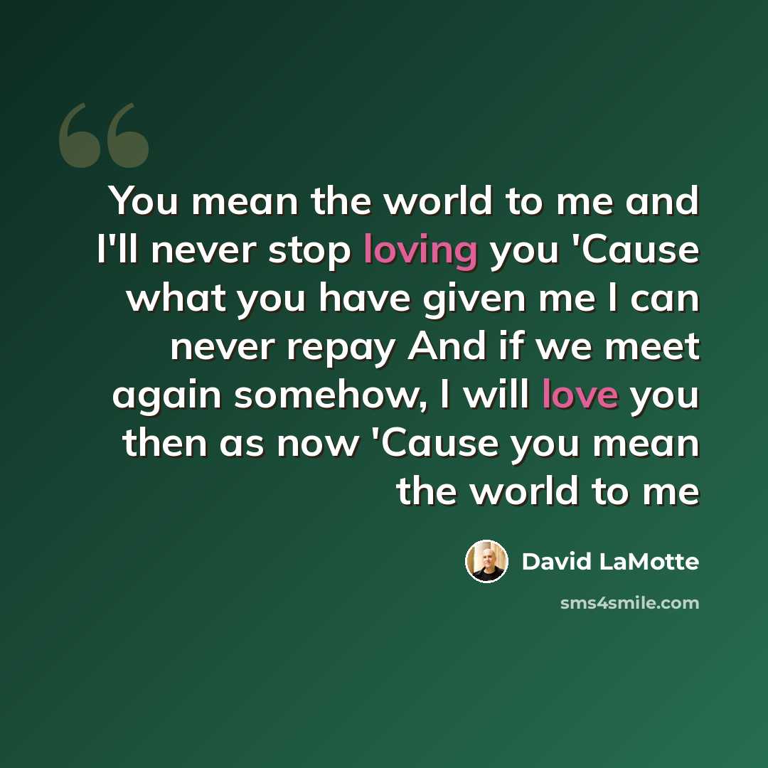 “You mean the world to me and I'll never stop loving you 'Cause what you have given me I can never repay And if we meet again somehow, I will love you then as now 'Cause you mean the world to me” quote by David LaMotte
