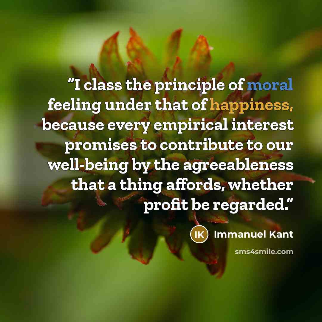 “I class the principle of moral feeling under that of happiness, because every empirical interest promises to contribute to our well-being by the agreeableness that a thing affords, whether profit be regarded.” quote by Immanuel Kant