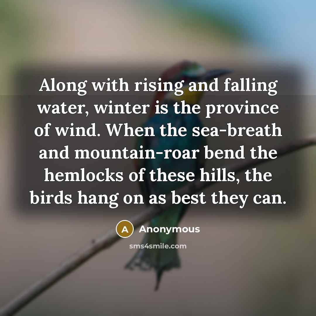 “Along with rising and falling water, winter is the province of wind. When the sea-breath and mountain-roar bend the hemlocks of these hills, the birds hang on as best they can.” quote by Anonymous