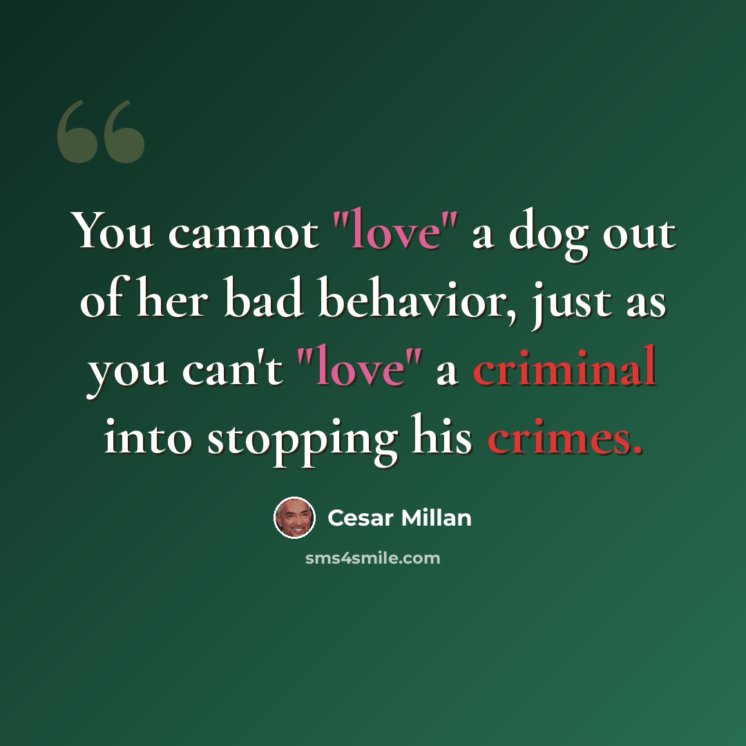 “You cannot "love" a dog out of her bad behavior, just as you can't "love" a criminal into stopping his crimes.” quote by Cesar Millan