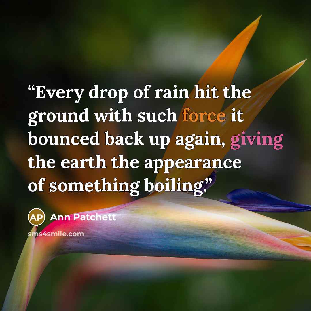 “Every drop of rain hit the ground with such force it bounced back up again, giving the earth the appearance of something boiling.” quote by Ann Patchett