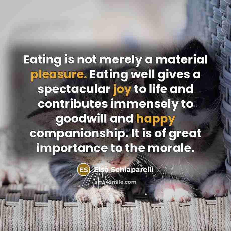 “Eating is not merely a material pleasure. Eating well gives a spectacular joy to life and contributes immensely to goodwill and happy companionship. It is of great importance to the morale.” quote by Elsa Schiaparelli