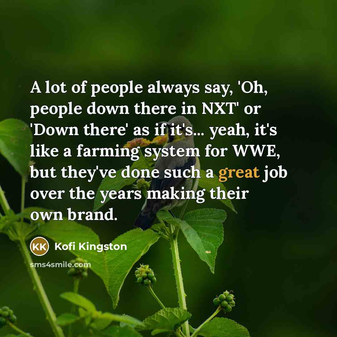 “A lot of people always say, 'Oh, people down there in NXT' or 'Down there' as if it's... yeah, it's like a farming system for WWE, but they've done such a great job over the years making their own brand.” quote by Kofi Kingston