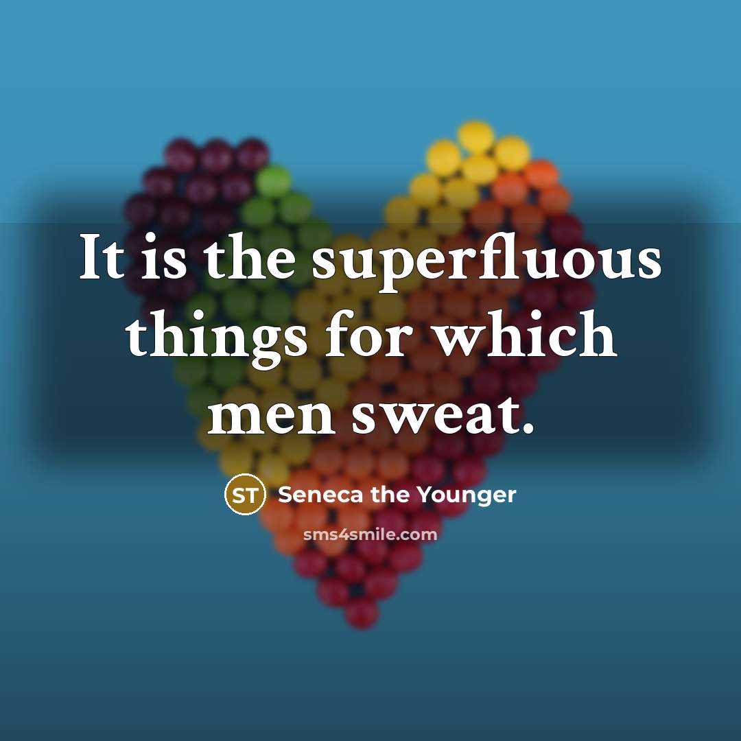 “It is the superfluous things for which men sweat.” quote by Seneca the Younger