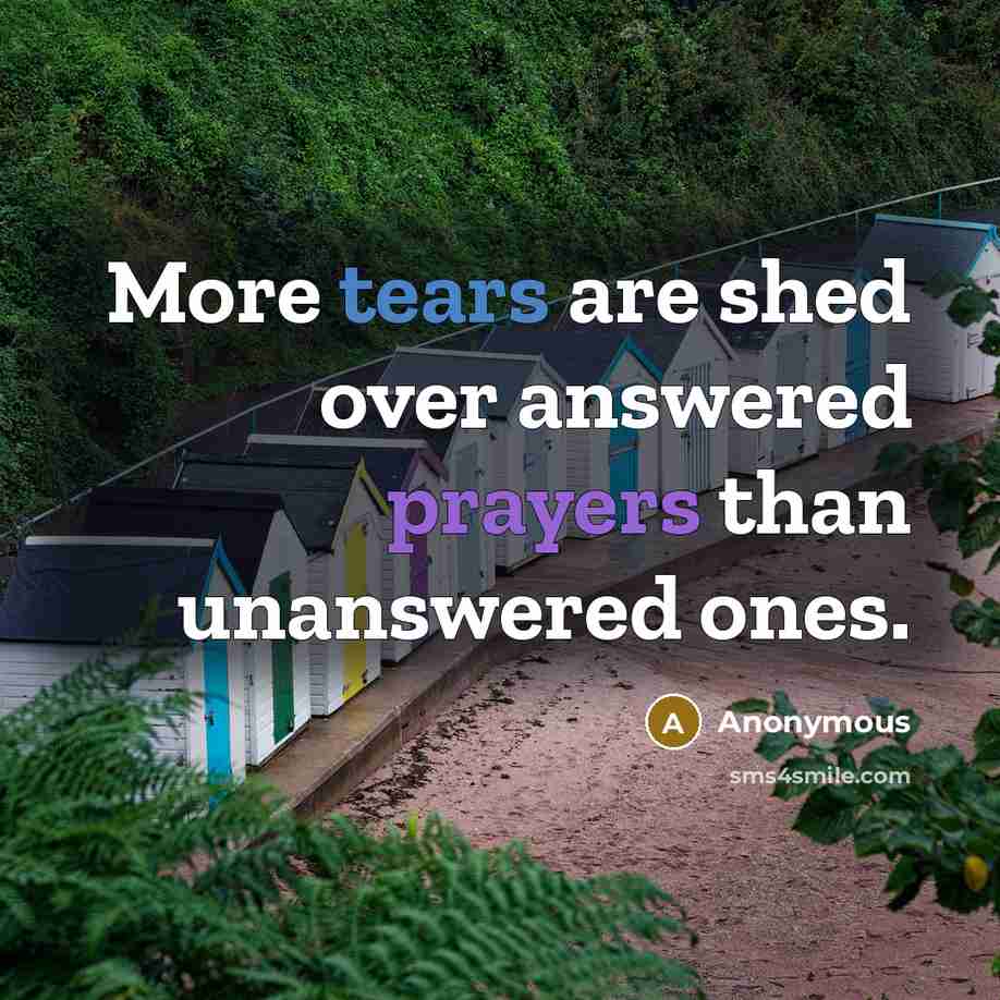 “More tears are shed over answered prayers than unanswered ones.” quote by Anonymous