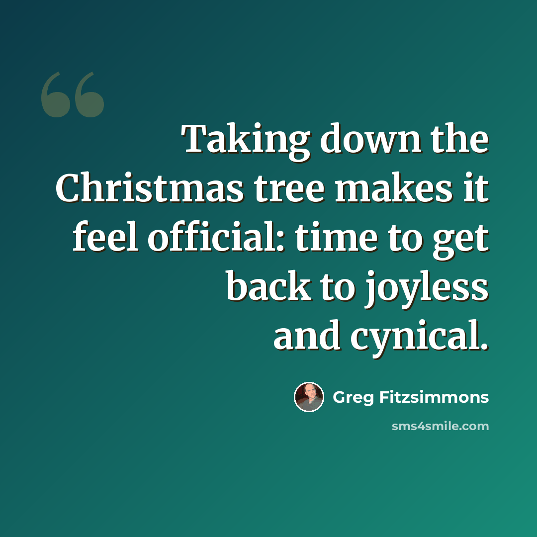 “Taking down the Christmas tree makes it feel official: time to get back to joyless and cynical.” quote by Greg Fitzsimmons