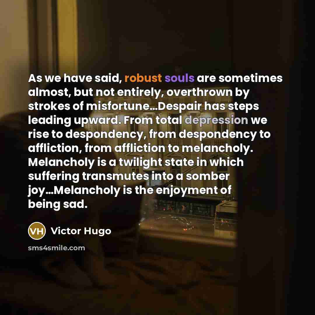“As we have said, robust souls are sometimes almost, but not entirely, overthrown by strokes of misfortune…Despair has steps leading upward. From total depression we rise to despondency, from despondency to affliction, from affliction to melancholy. Melancholy is a twilight state in which suffering…” quote by Victor Hugo