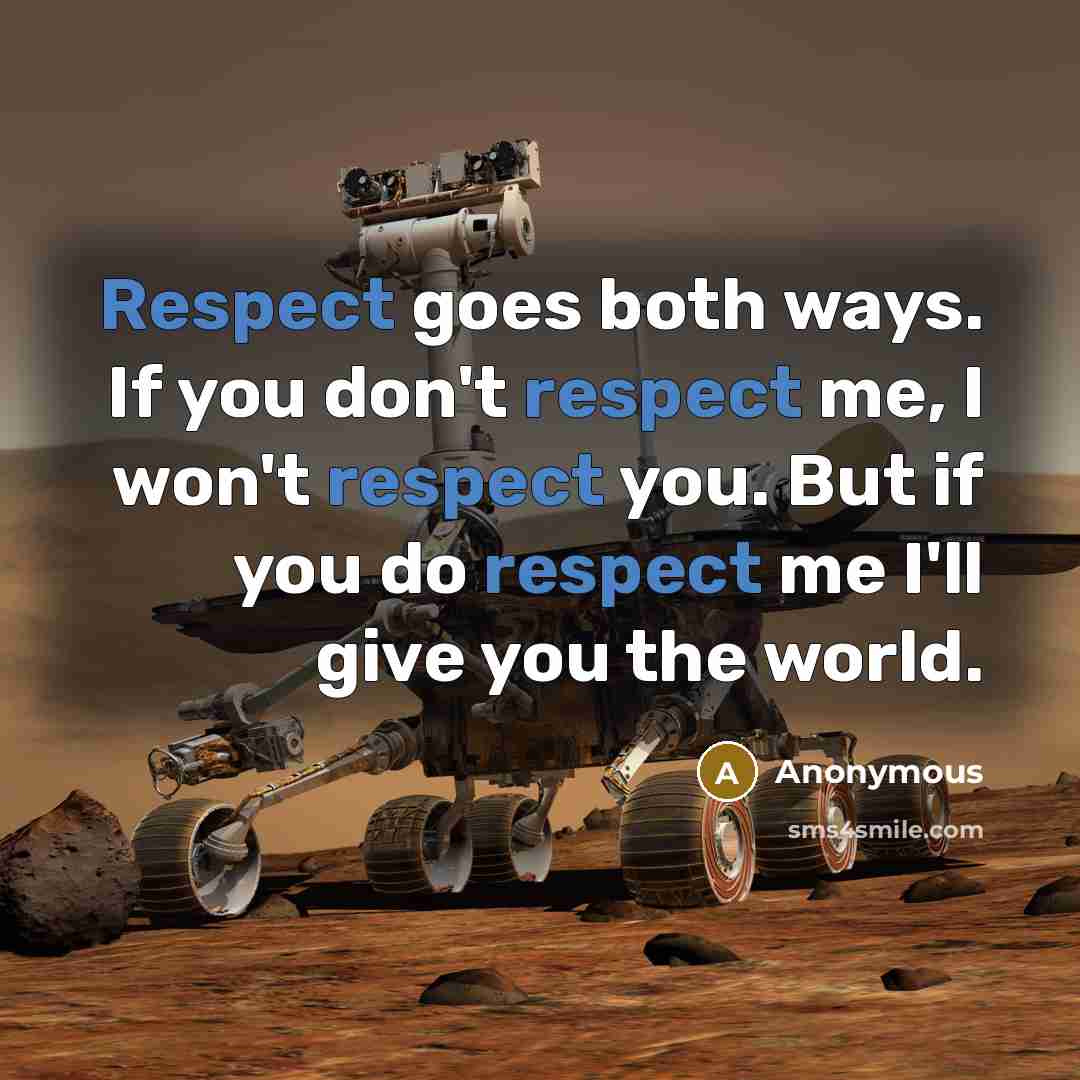 “Respect goes both ways. If you don't respect me, I won't respect you. But if you do respect me I'll give you the world.” quote by Anonymous