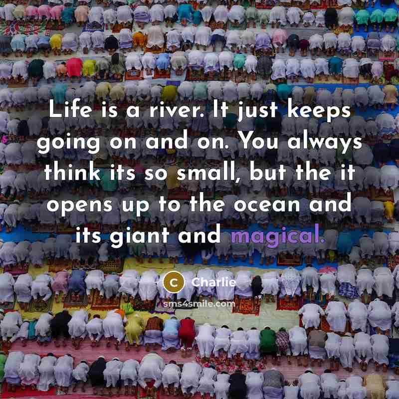 “Life is a river. It just keeps going on and on. You always think its so small, but the it opens up to the ocean and its giant and magical.” quote by Charlie