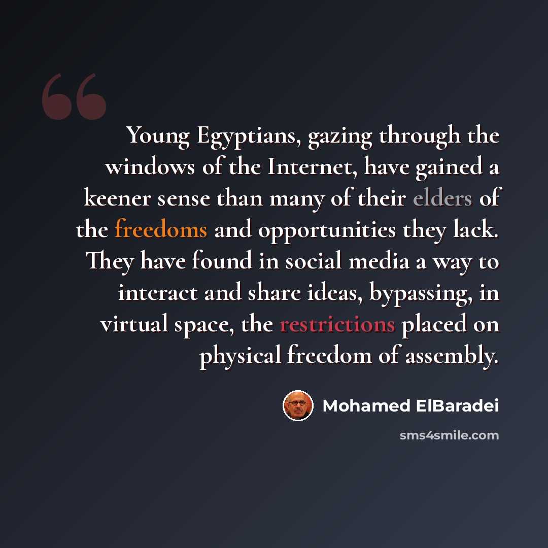 “Young Egyptians, gazing through the windows of the Internet, have gained a keener sense than many of their elders of the freedoms and opportunities they lack. They have found in social media a way to interact and share ideas, bypassing, in virtual space, the restrictions placed on physical freedom…” quote by Mohamed ElBaradei