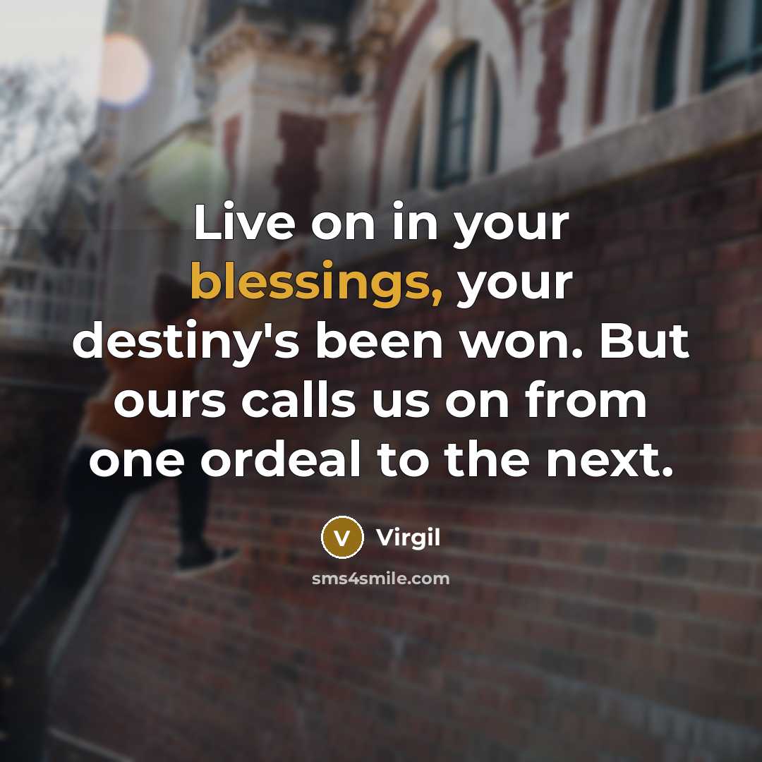 “Live on in your blessings, your destiny's been won. But ours calls us on from one ordeal to the next.” quote by Virgil