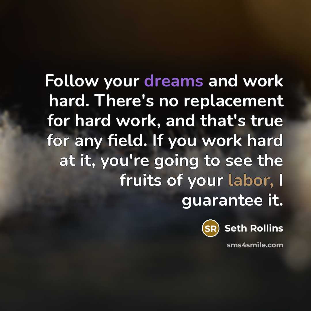 “Follow your dreams and work hard. There's no replacement for hard work, and that's true for any field. If you work hard at it, you're going to see the fruits of your labor, I guarantee it.” quote by Seth Rollins