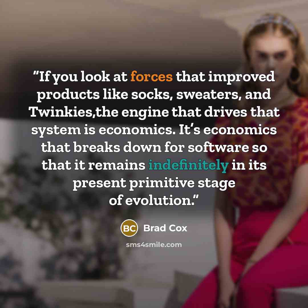 “If you look at forces that improved products like socks, sweaters, and Twinkies,the engine that drives that system is economics. It’s economics that breaks down for software so that it remains indefinitely in its present primitive stage of evolution.” quote by Brad Cox