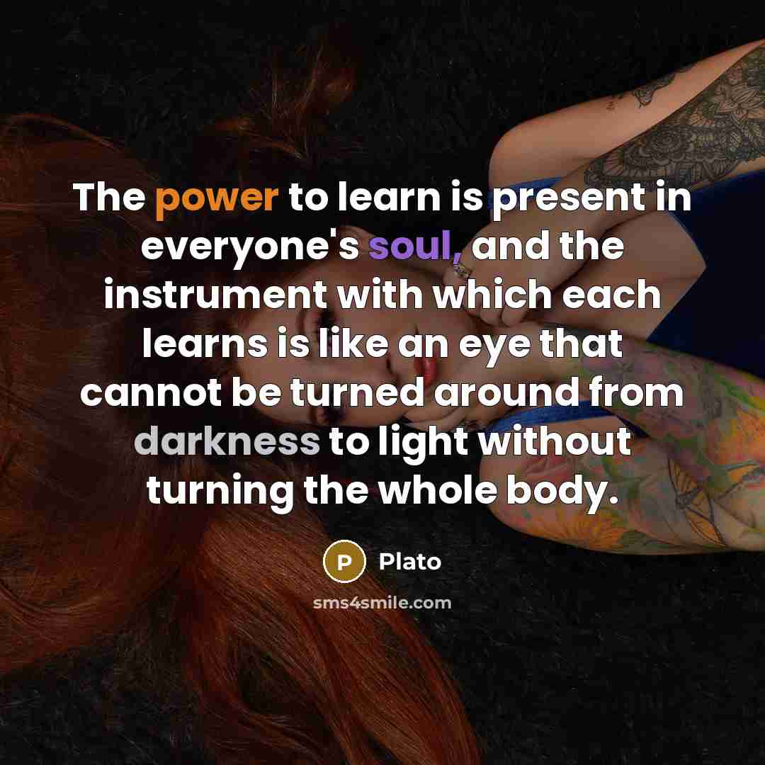 “The power to learn is present in everyone's soul, and the instrument with which each learns is like an eye that cannot be turned around from darkness to light without turning the whole body.” quote by Plato