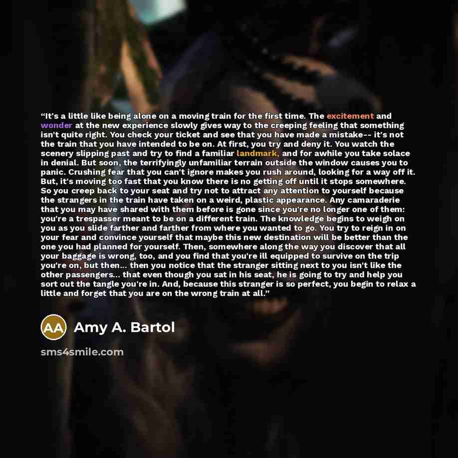 “It's a little like being alone on a moving train for the first time. The excitement and wonder at the new experience slowly gives way to the creeping feeling that something isn't quite right. You check your ticket and see that you have made a mistake-- it's not the train that you have intended to…” quote by Amy A. Bartol