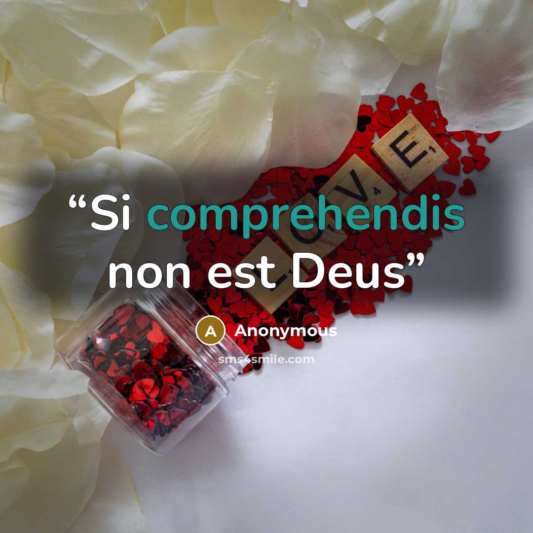 “Si comprehendis non est Deus” quote by Anonymous