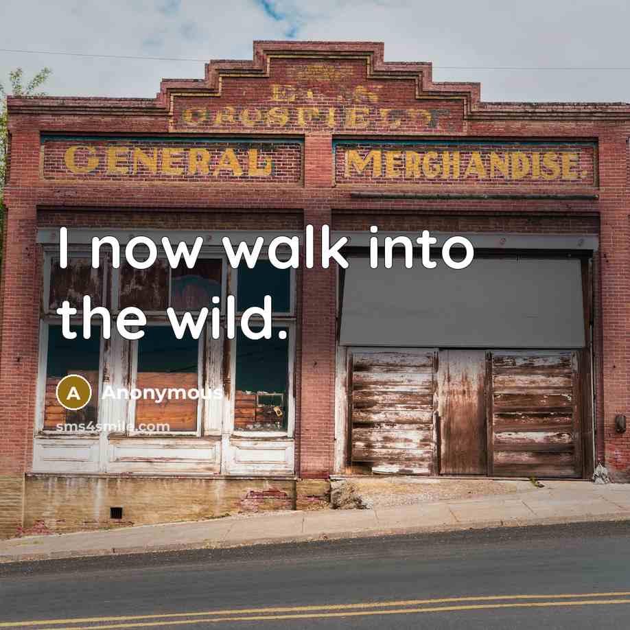 “I now walk into the wild.” quote by Anonymous