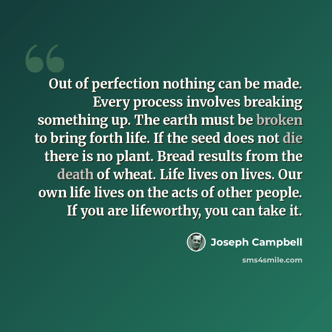 “Out of perfection nothing can be made. Every process involves breaking something up. The earth must be broken to bring forth life. If the seed does not die there is no plant. Bread results from the death of wheat. Life lives on lives. Our own life lives on the acts of other people. If you are…” quote by Joseph Campbell