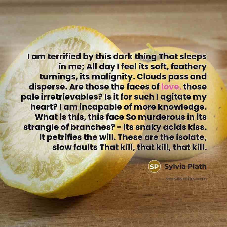 “I am terrified by this dark thing That sleeps in me; All day I feel its soft, feathery turnings, its malignity. Clouds pass and disperse. Are those the faces of love, those pale irretrievables? Is it for such I agitate my heart? I am incapable of more knowledge. What is this, this face So…” quote by Sylvia Plath