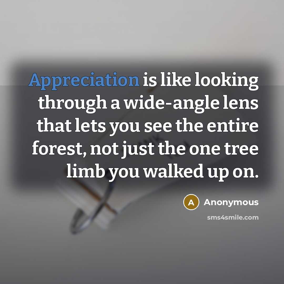 “Appreciation is like looking through a wide-angle lens that lets you see the entire forest, not just the one tree limb you walked up on.” quote by Anonymous