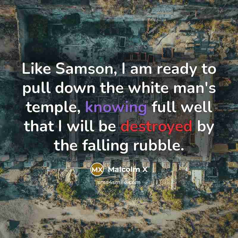 “Like Samson, I am ready to pull down the white man's temple, knowing full well that I will be destroyed by the falling rubble.” quote by Malcolm X
