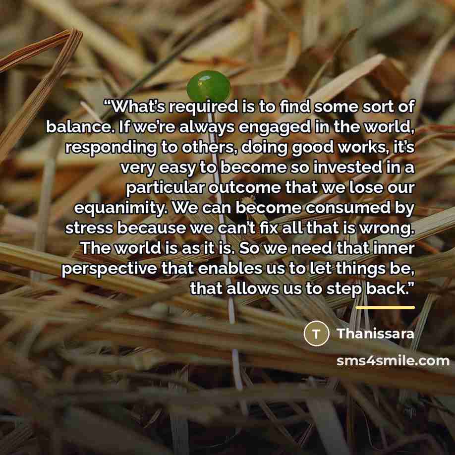 “What’s required is to find some sort of balance. If we’re always engaged in the world, responding to others, doing good works, it’s very easy to become so invested in a particular outcome that we lose our equanimity. We can become consumed by stress because we can’t fix all that is wrong. The…” quote by Thanissara