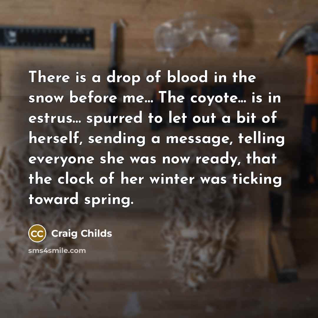 “There is a drop of blood in the snow before me… The coyote... is in estrus… spurred to let out a bit of herself, sending a message, telling everyone she was now ready, that the clock of her winter was ticking toward spring.” quote by Craig Childs