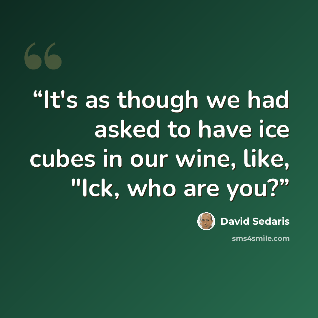 “It's as though we had asked to have ice cubes in our wine, like, "Ick, who are you?” quote by David Sedaris