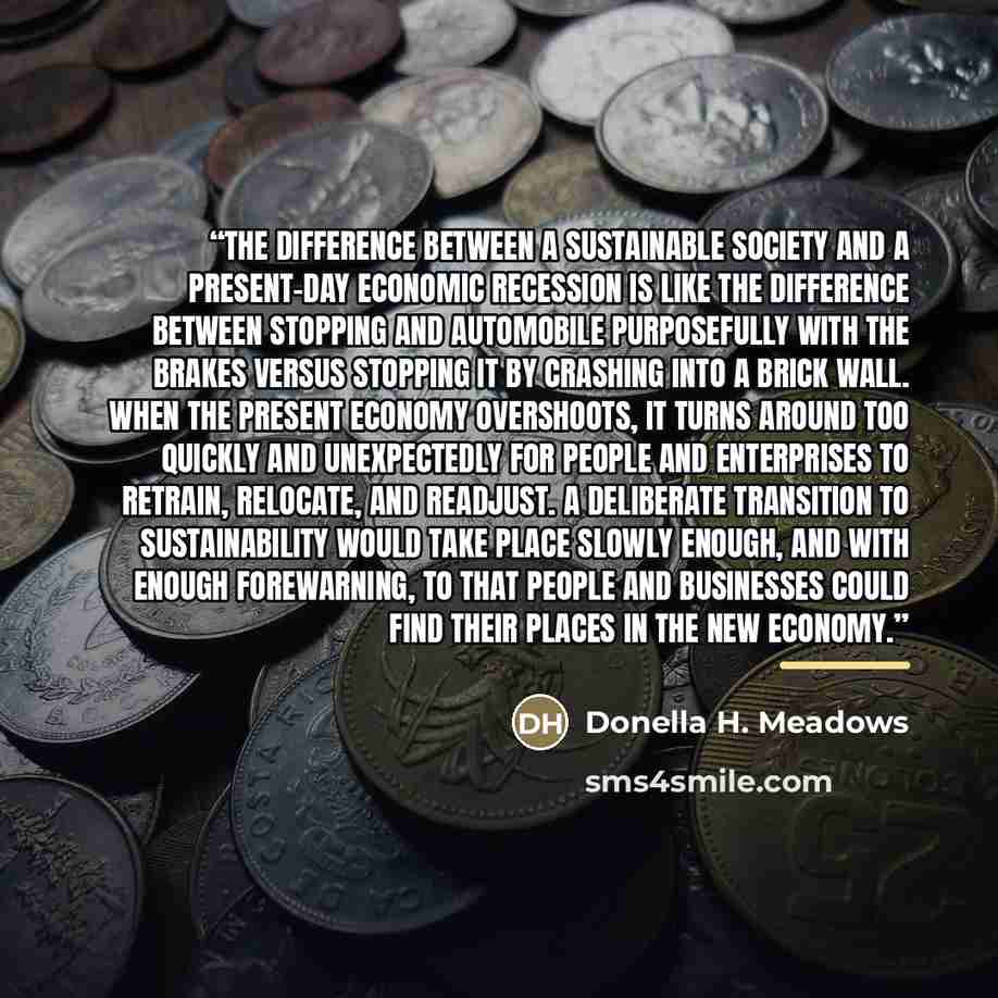 “The difference between a sustainable society and a present-day economic recession is like the difference between stopping and automobile purposefully with the brakes versus stopping it by crashing into a brick wall. When the present economy overshoots, it turns around too quickly and unexpectedly…” quote by Donella H. Meadows