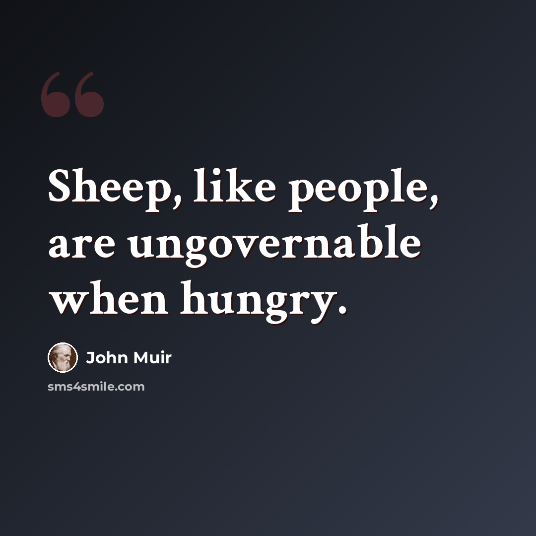 “Sheep, like people, are ungovernable when hungry.” quote by John Muir