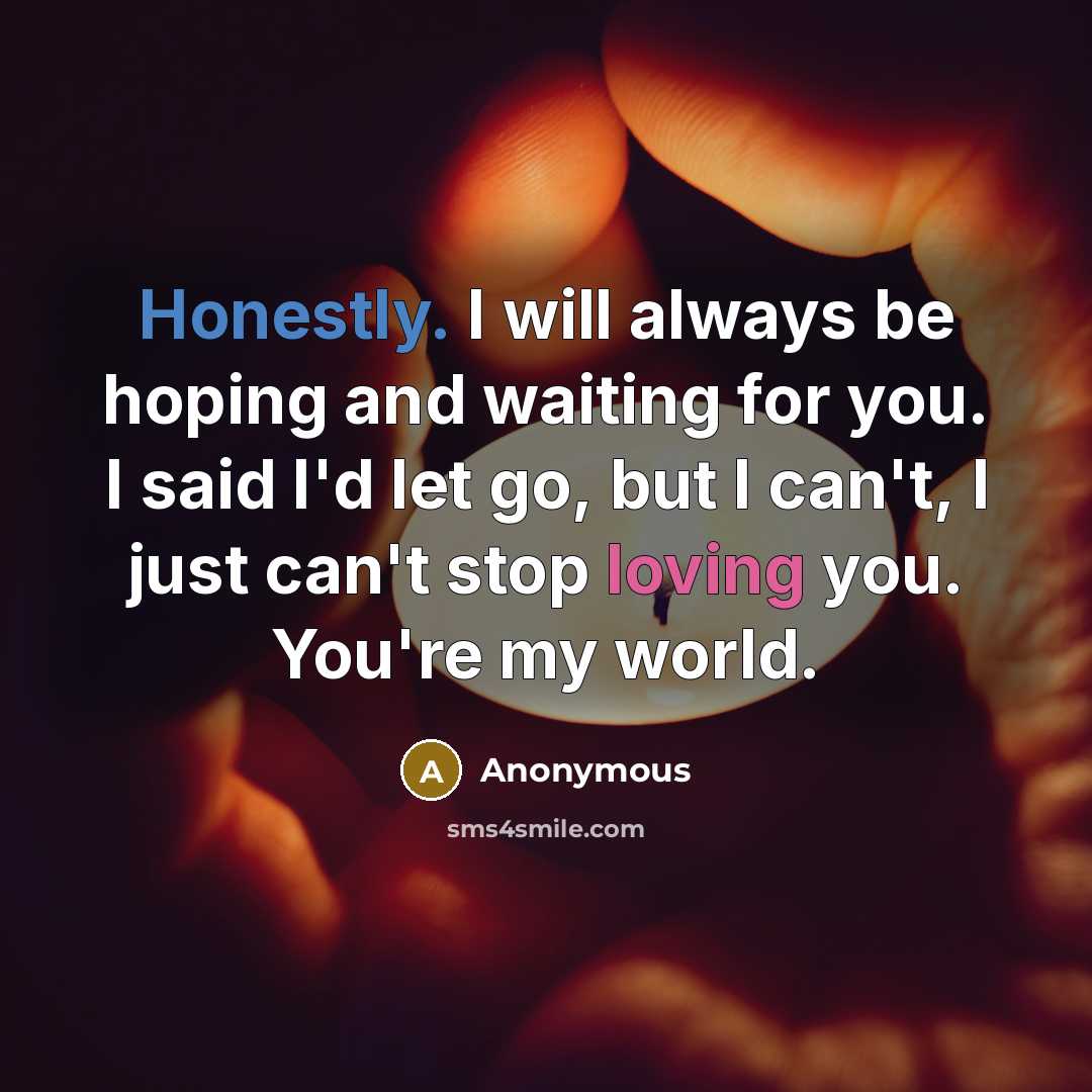 “Honestly. I will always be hoping and waiting for you. I said I'd let go, but I can't, I just can't stop loving you. You're my world.” quote by Anonymous