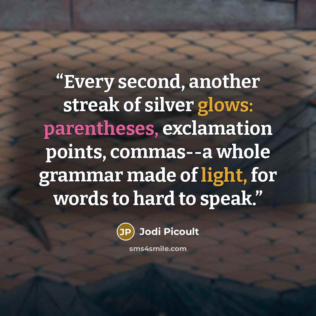 “Every second, another streak of silver glows: parentheses, exclamation points, commas--a whole grammar made of light, for words to hard to speak.” quote by Jodi Picoult