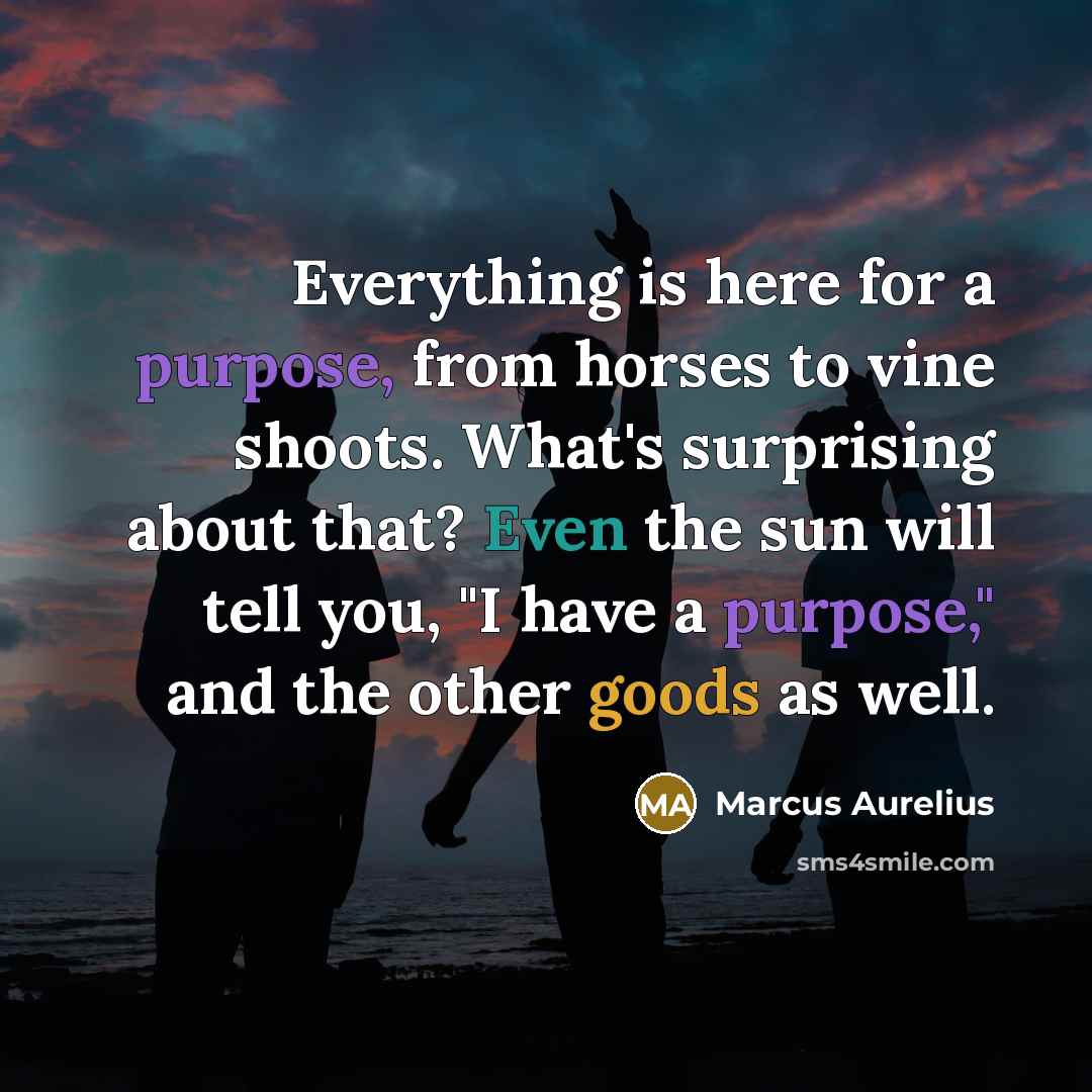 “Everything is here for a purpose, from horses to vine shoots. What's surprising about that? Even the sun will tell you, "I have a purpose," and the other goods as well.” quote by Marcus Aurelius