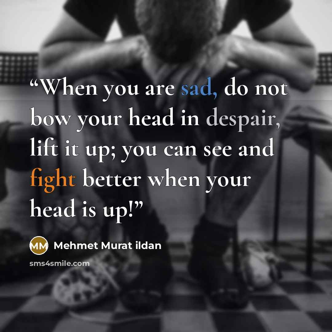 “When you are sad, do not bow your head in despair, lift it up; you can see and fight better when your head is up!” quote by Mehmet Murat ildan