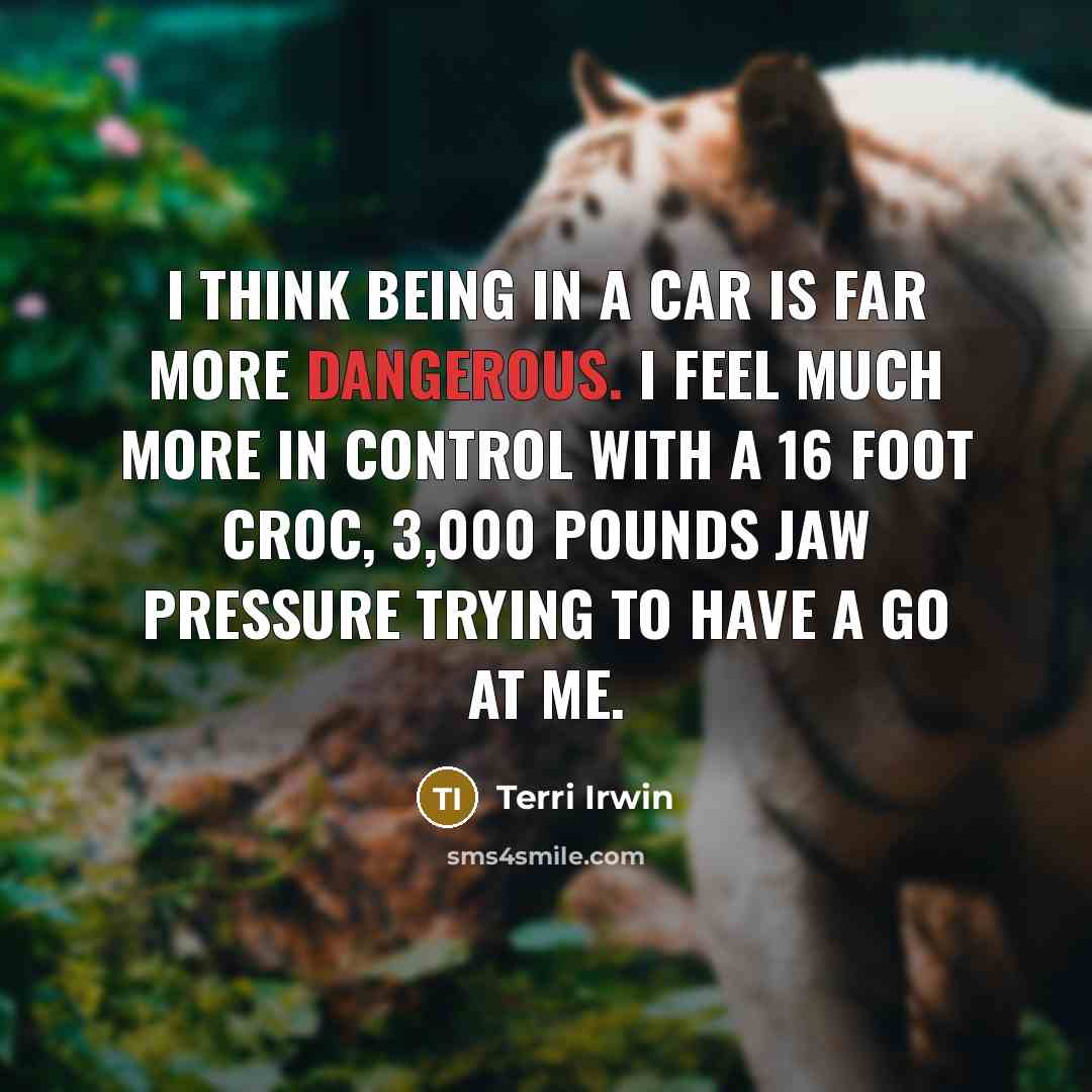 “I think being in a car is far more dangerous. I feel much more in control with a 16 foot croc, 3,000 pounds jaw pressure trying to have a go at me.” quote by Terri Irwin