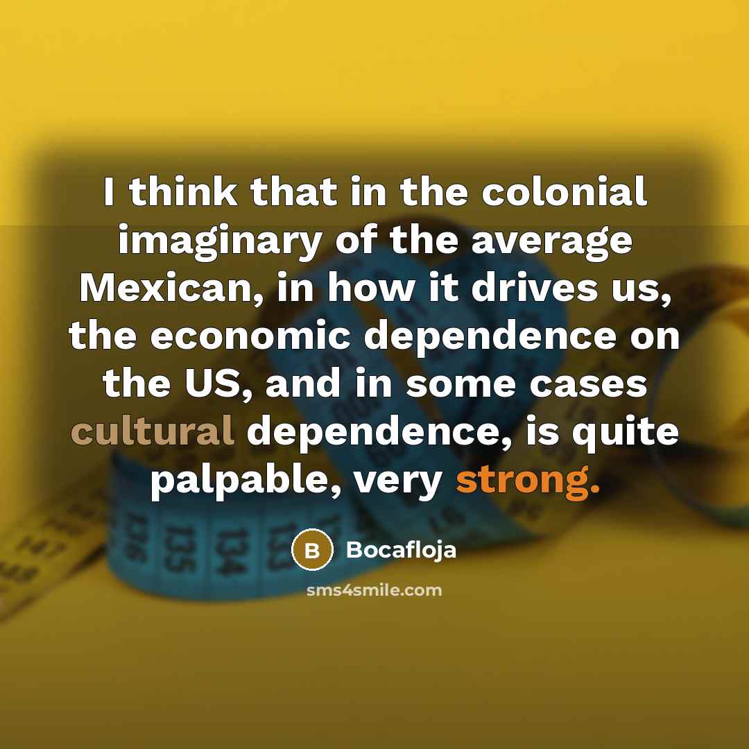 “I think that in the colonial imaginary of the average Mexican, in how it drives us, the economic dependence on the US, and in some cases cultural dependence, is quite palpable, very strong.” quote by Bocafloja