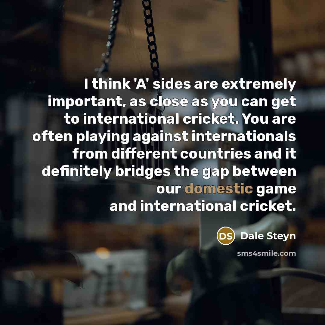 “I think 'A' sides are extremely important, as close as you can get to international cricket. You are often playing against internationals from different countries and it definitely bridges the gap between our domestic game and international cricket.” quote by Dale Steyn