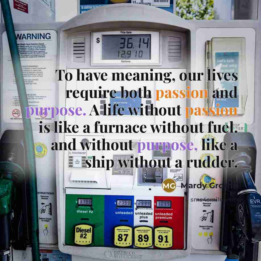 “To have meaning, our lives require both passion and purpose. A life without passion is like a furnace without fuel, and without purpose, like a ship without a rudder.” quote by Mardy Grothe