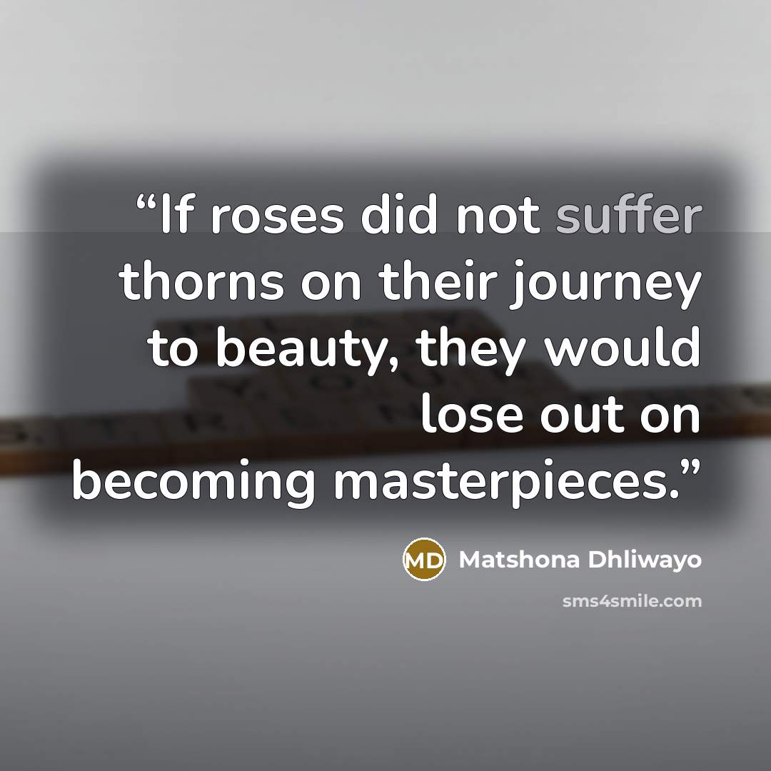 “If roses did not suffer thorns on their journey to beauty, they would lose out on becoming masterpieces.” quote by Matshona Dhliwayo