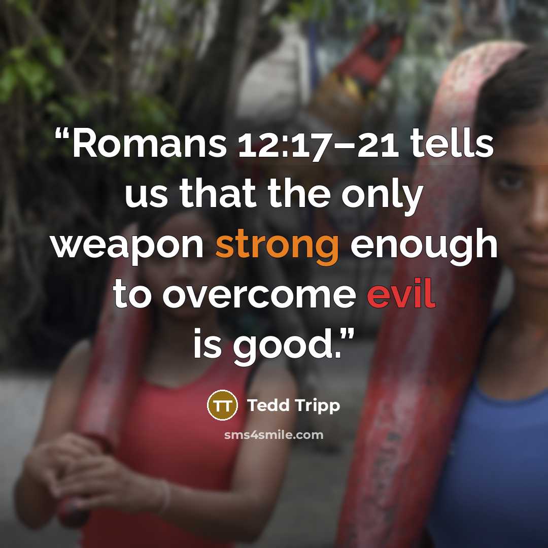 “Romans 12:17–21 tells us that the only weapon strong enough to overcome evil is good.” quote by Tedd Tripp