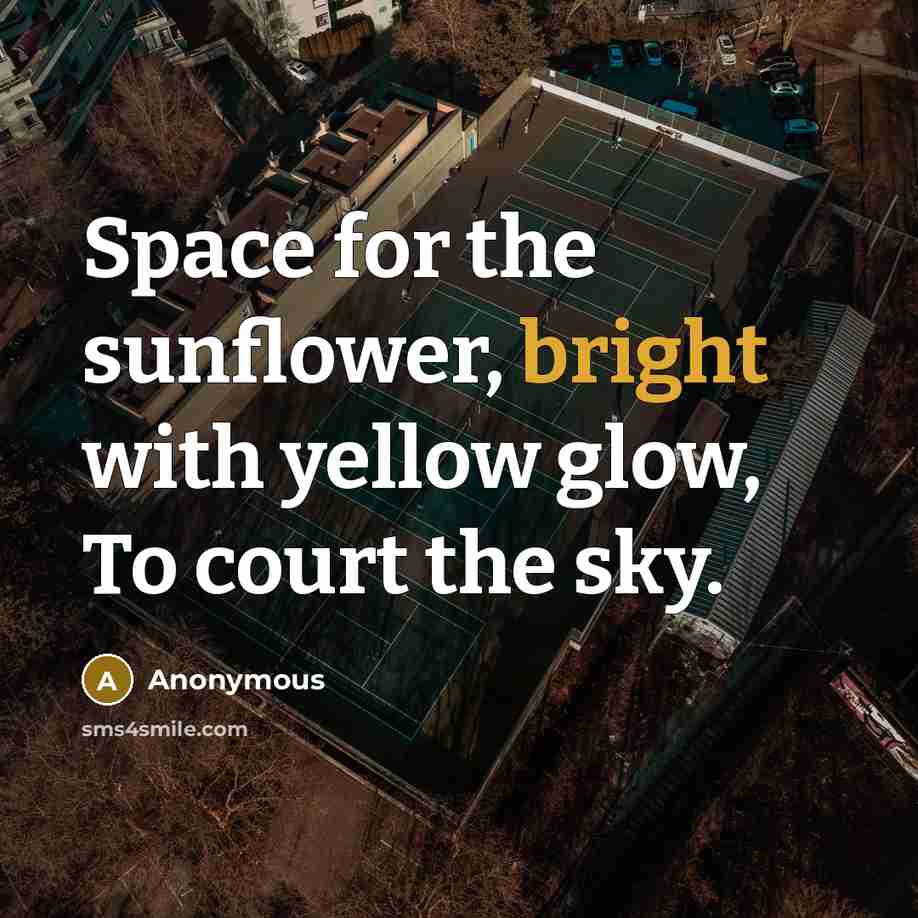 “Space for the sunflower, bright with yellow glow, To court the sky.” quote by Anonymous