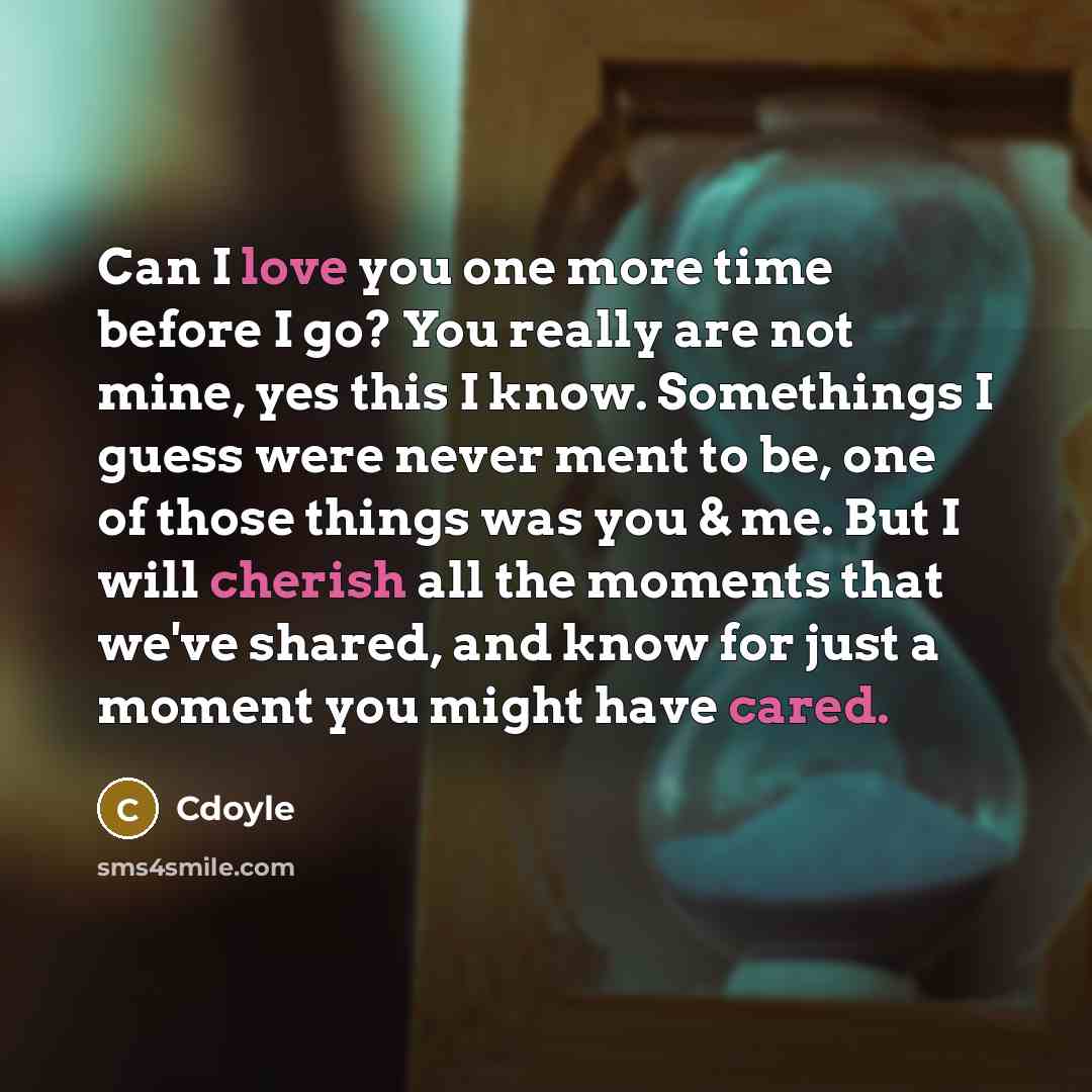 “Can I love you one more time before I go? You really are not mine, yes this I know. Somethings I guess were never ment to be, one of those things was you & me. But I will cherish all the moments that we've shared, and know for just a moment you might have cared.” quote by Cdoyle