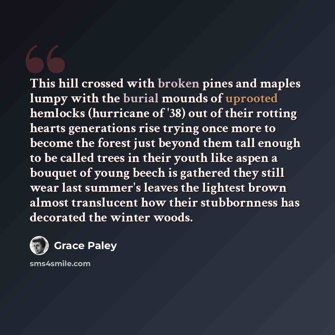 “This hill crossed with broken pines and maples lumpy with the burial mounds of uprooted hemlocks (hurricane of '38) out of their rotting hearts generations rise trying once more to become the forest just beyond them tall enough to be called trees in their youth like aspen a bouquet of young beech…” quote by Grace Paley