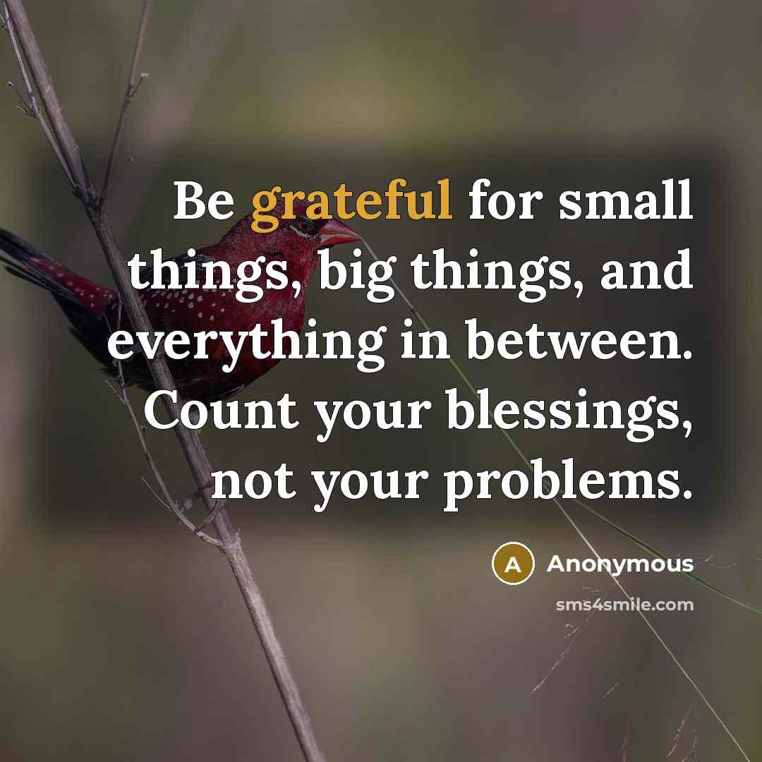 “Be grateful for small things, big things, and everything in between. Count your blessings, not your problems.” quote by Anonymous