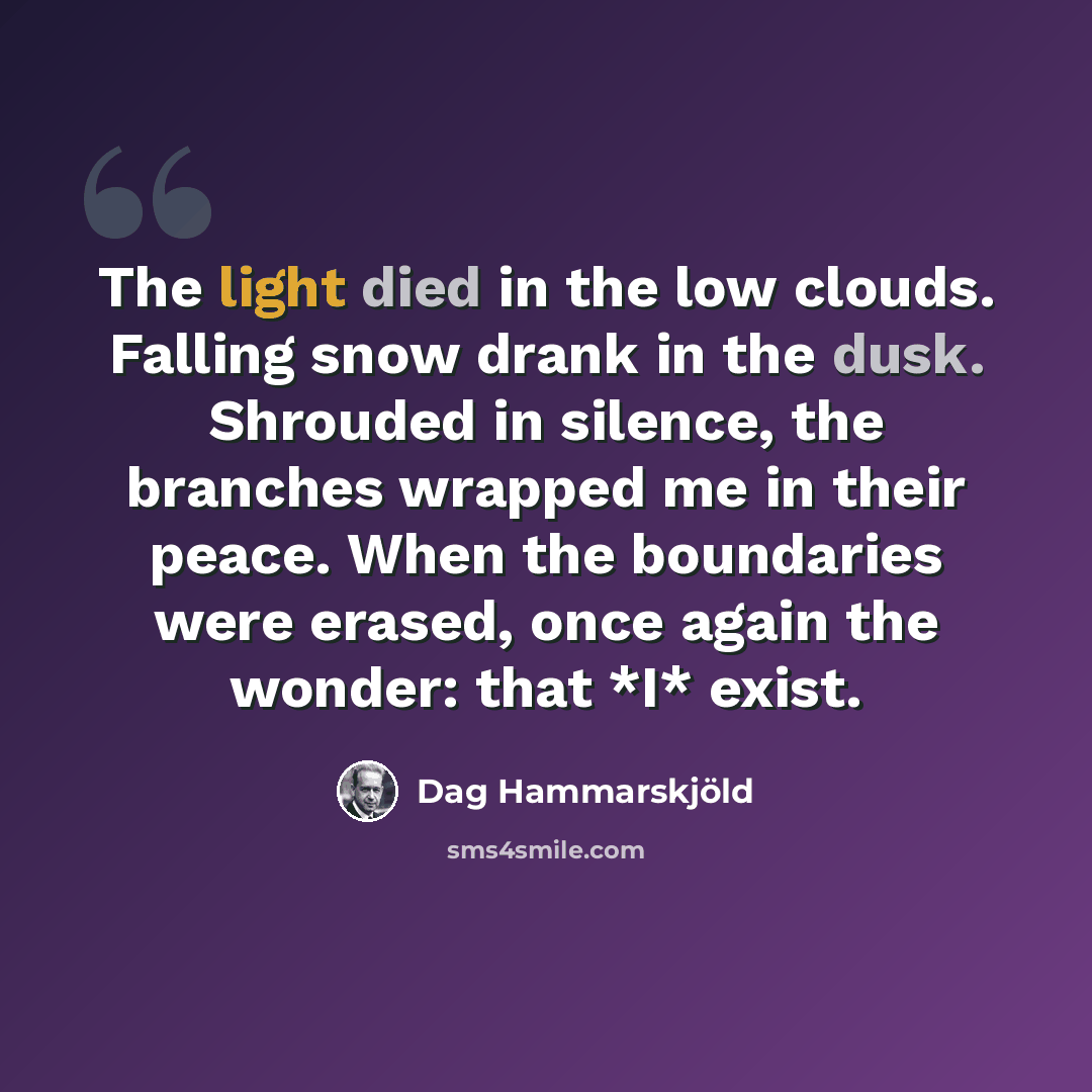 “The light died in the low clouds. Falling snow drank in the dusk. Shrouded in silence, the branches wrapped me in their peace. When the boundaries were erased, once again the wonder: that *I* exist.” quote by Dag Hammarskjold