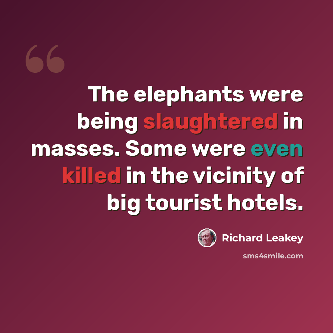 “The elephants were being slaughtered in masses. Some were even killed in the vicinity of big tourist hotels.” quote by Richard Leakey