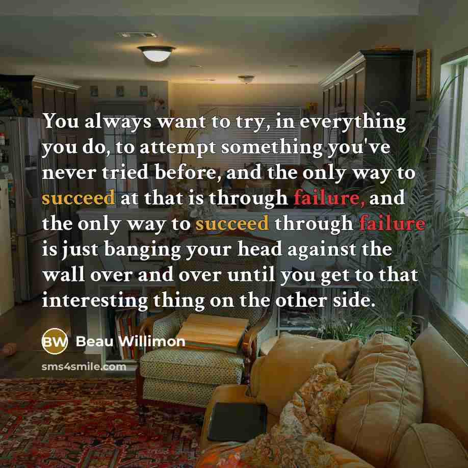 “You always want to try, in everything you do, to attempt something you've never tried before, and the only way to succeed at that is through failure, and the only way to succeed through failure is just banging your head against the wall over and over until you get to that interesting thing on the…” quote by Beau Willimon
