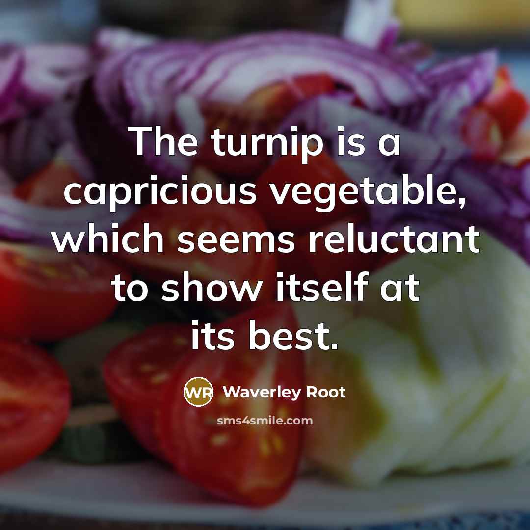 “The turnip is a capricious vegetable, which seems reluctant to show itself at its best.” quote by Waverley Root